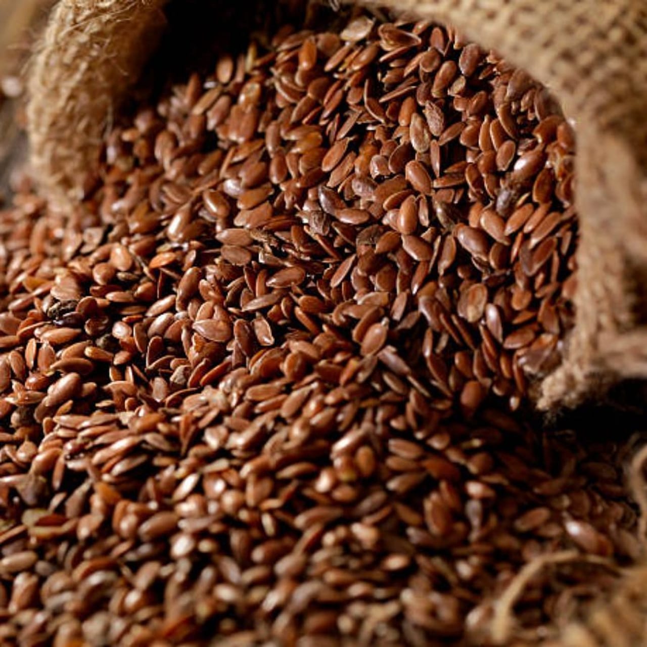 ಆಯುರ್ವೇದದ ಪ್ರಕಾರ, ನೀವು ಅದನ್ನು ಸರಿಯಾದ ರೀತಿಯಲ್ಲಿ ಸೇವಿಸಿದರೆ,
ನೀವು ಅಗಸೆ ಬೀಜಗಳಿಂದ ಸಂಪೂರ್ಣ ಪೋಷಣೆಯನ್ನು ಪಡೆಯಬಹುದು.
ಅಂದರೆ, ನೀವು ಅಗಸೆ ಬೀಜಗಳನ್ನು ಸರಿಯಾಗಿ ತೆಗೆದುಕೊಳ್ಳದಿದ್ದರೆ, ನಿಮ್ಮ
ದೇಹವು ಅದರಿಂದ ಪ್ರಯೋಜನ
ಪಡೆಯುವುದಿಲ್ಲ.