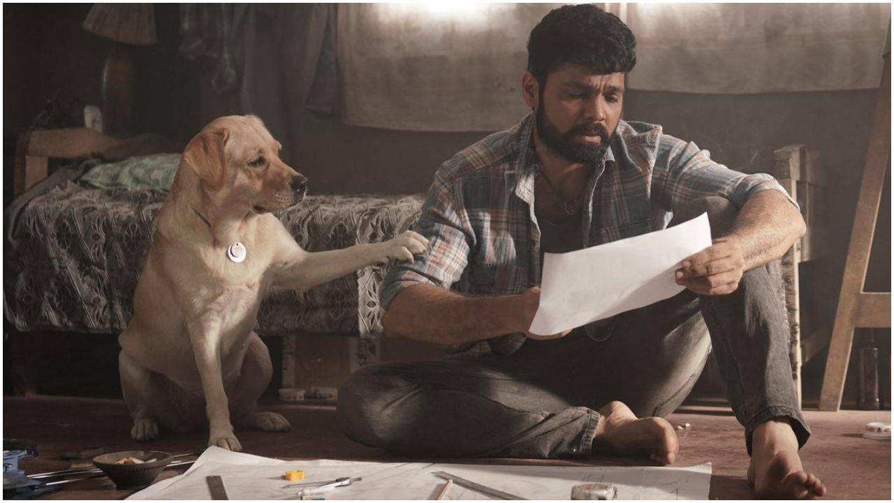 777 Charlie: ರಕ್ಷಿತ್ ಶೆಟ್ಟಿ ನಟನೆಯ ‘777 ಚಾರ್ಲಿ’ ರಿಲೀಸ್; ಪೈರಸಿ ತಡೆಯಲು ಚಿತ್ರತಂಡ ಮಾಡಿರುವ ತಯಾರಿ ಏನು? 777 Charlie: ರಕ್ಷಿತ್ ಶೆಟ್ಟಿ ನಟನೆಯ ‘777 ಚಾರ್ಲಿ’ ರಿಲೀಸ್; ಪೈರಸಿ ತಡೆಯಲು ಚಿತ್ರತಂಡ ಮಾಡಿರುವ ತಯಾರಿ ಏನು?