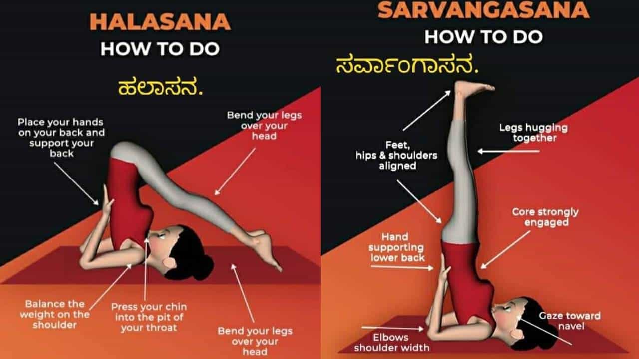 Thyroid Disease and Yoga: ಈ ಯೋಗಾಸನಗಳನ್ನು ಮಾಡಿದರೆ ಥೈರಾಯ್ಡ್ ಸಮಸ್ಯೆಗೆ ಪರಿಹಾರ ಸಿಗುತ್ತದೆ Thyroid Disease and Yoga: ಈ ಯೋಗಾಸನಗಳನ್ನು ಮಾಡಿದರೆ ಥೈರಾಯ್ಡ್ ಸಮಸ್ಯೆಗೆ ಪರಿಹಾರ ಸಿಗುತ್ತದೆ