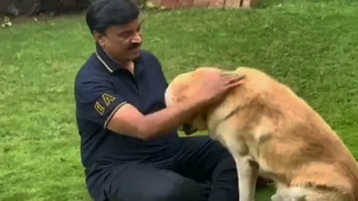 ಮುದ್ದಿನ ಶ್ವಾನದೊಂದಿಗೆ 777 ಚಾರ್ಲಿ ಸಿನಿಮಾ ವೀಕ್ಷಿಸಿದ ಜನಾರ್ದನ ರೆಡ್ಡಿ; ವೈರಲ್ ವಿಡಿಯೋ ಇಲ್ಲಿದೆ ಮುದ್ದಿನ ಶ್ವಾನದೊಂದಿಗೆ 777 ಚಾರ್ಲಿ ಸಿನಿಮಾ ವೀಕ್ಷಿಸಿದ ಜನಾರ್ದನ ರೆಡ್ಡಿ; ವೈರಲ್ ವಿಡಿಯೋ ಇಲ್ಲಿದೆ
