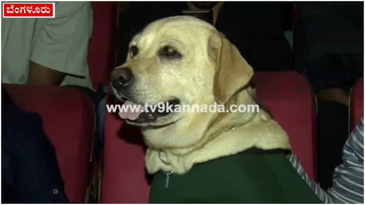 777 Charlie: ಚಿತ್ರಮಂದಿರಕ್ಕೆ ಬಂದು ತನ್ನದೇ ಸಿನಿಮಾ ನೋಡಿದ ಚಾರ್ಲಿ; ಇಲ್ಲಿದೆ ಕ್ಯೂಟ್ ವಿಡಿಯೋ 777 Charlie: ಚಿತ್ರಮಂದಿರಕ್ಕೆ ಬಂದು ತನ್ನದೇ ಸಿನಿಮಾ ನೋಡಿದ ಚಾರ್ಲಿ; ಇಲ್ಲಿದೆ ಕ್ಯೂಟ್ ವಿಡಿಯೋ