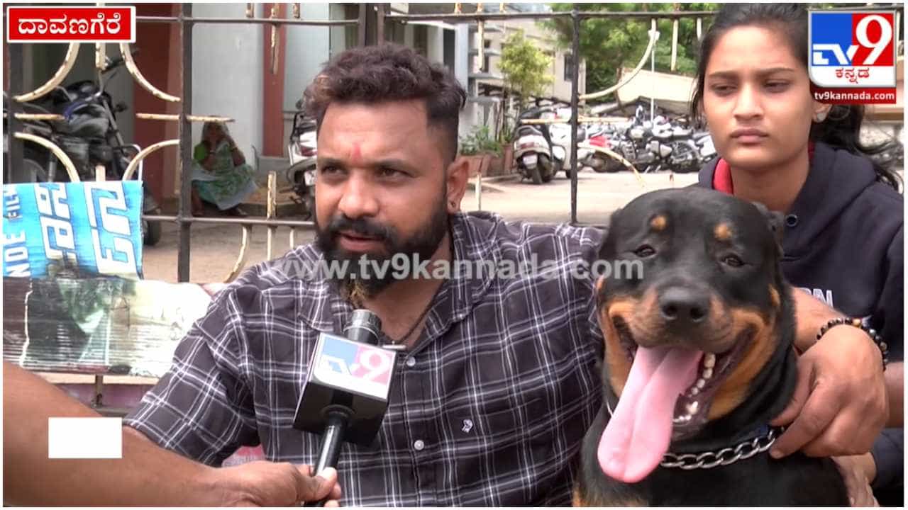 777 Charlie: ನಾಯಿಯ ಸಿನಿಮಾ ನೋಡಲು ನಾಯಿಗೇ ಅವಕಾಶ ಇಲ್ಲ; ಡಯಾನಾಗೆ ತೀವ್ರ ನಿರಾಸೆ 777 Charlie: ನಾಯಿಯ ಸಿನಿಮಾ ನೋಡಲು ನಾಯಿಗೇ ಅವಕಾಶ ಇಲ್ಲ; ಡಯಾನಾಗೆ ತೀವ್ರ ನಿರಾಸೆ
