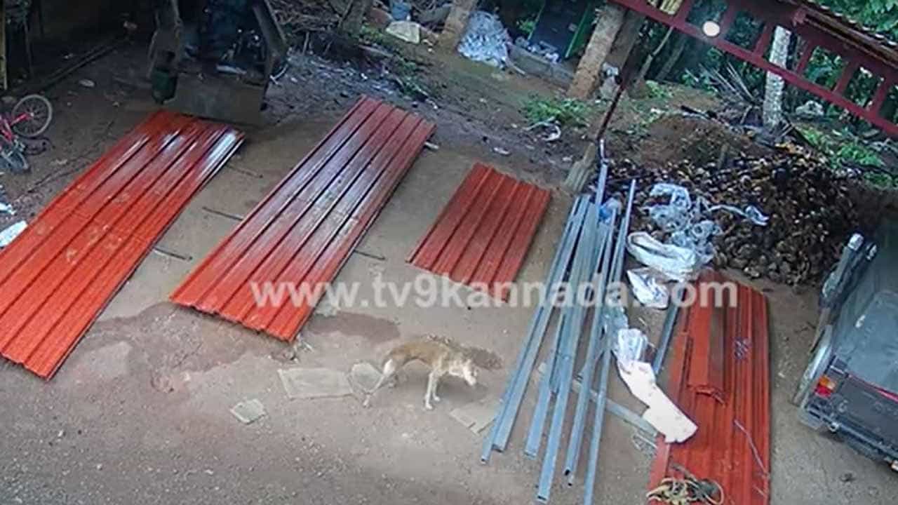 ಕೊಡಗು ಜಿಲ್ಲೆಯ ಕೆಲಭಾಗಗಳಲ್ಲಿ ಪುನಃ ಭೂಕಂಪದ ಅನುಭವ, ಮೂರು ದಿನಗಳ ಹಿಂದೆಯೂ ಭೂಮಿ ಕಂಪಿಸಿತ್ತು! ಕೊಡಗು ಜಿಲ್ಲೆಯ ಕೆಲಭಾಗಗಳಲ್ಲಿ ಪುನಃ ಭೂಕಂಪದ ಅನುಭವ, ಮೂರು ದಿನಗಳ ಹಿಂದೆಯೂ ಭೂಮಿ ಕಂಪಿಸಿತ್ತು!