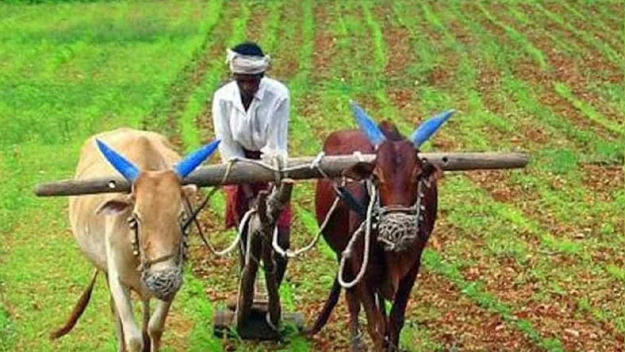 PM Kisan: ಪಿಎಂ ಕಿಸಾನ್ ಕಂತು ಖಾತೆಗೆ ಜಮೆ ಆಗಿಲ್ಲವೆ? ಹಾಗಿದ್ದಲ್ಲಿ ಹೀಗೆ ಮಾಡಿ PM Kisan: ಪಿಎಂ ಕಿಸಾನ್ ಕಂತು ಖಾತೆಗೆ ಜಮೆ ಆಗಿಲ್ಲವೆ? ಹಾಗಿದ್ದಲ್ಲಿ ಹೀಗೆ ಮಾಡಿ
