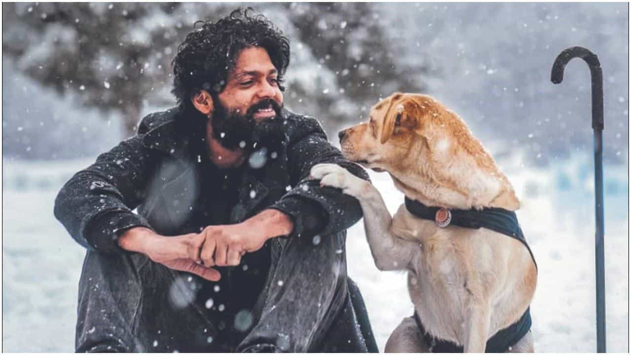 777 Charlie Review: ಪ್ರಾಣಿಪ್ರಿಯರನ್ನು ನಗಿಸಿ, ಅಳಿಸುವ ಧರ್ಮ-ಚಾ​ರ್ಲಿಯ ಎಮೋಷನಲ್​ ಜರ್ನಿ; ಇಲ್ಲಿದೆ ವಿಮರ್ಶೆ