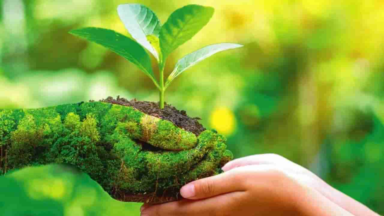 World Environment Day 2022: ನನಗೂ ಗೊತ್ತು ಅವಳಿಗೂ ಜೀವವಿದೆ, ಅವಳಿಗೂ ನೋವಾಗುತ್ತದೆ