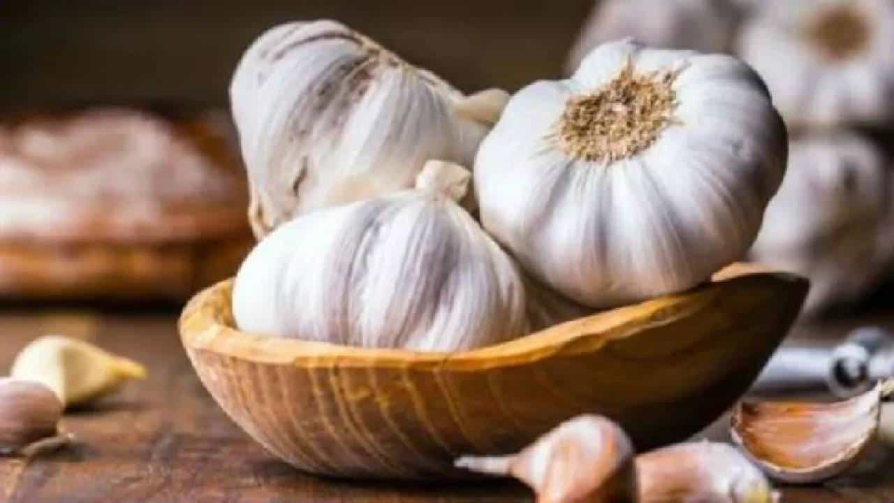Garlic Benefits: ಬೆಳ್ಳುಳ್ಳಿ ಸೇವನೆ ಮಾಡಿ ಈ ರೋಗಗಳಿಂದ ಸದಾ ದೂರವಿರಿ Garlic Benefits: ಬೆಳ್ಳುಳ್ಳಿ ಸೇವನೆ ಮಾಡಿ ಈ ರೋಗಗಳಿಂದ ಸದಾ ದೂರವಿರಿ