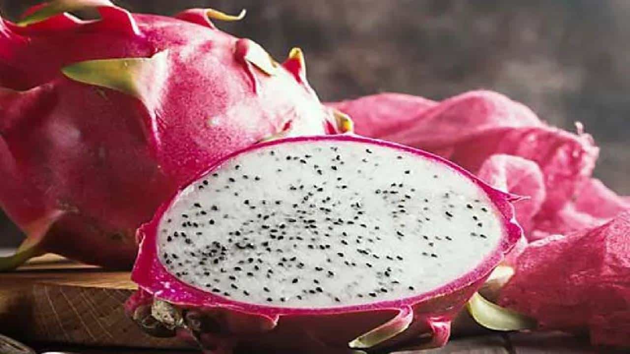 Dragon Fruit: ತೂಕ ಇಳಿಕೆಗೆ ಸಹಕಾರಿಯಾದ ಡ್ರ್ಯಾಗನ್ ಫ್ರೂಟ್ ಬಗ್ಗೆ ನಿಮಗೆಷ್ಟು ಗೊತ್ತು? Dragon Fruit: ತೂಕ ಇಳಿಕೆಗೆ ಸಹಕಾರಿಯಾದ ಡ್ರ್ಯಾಗನ್ ಫ್ರೂಟ್ ಬಗ್ಗೆ ನಿಮಗೆಷ್ಟು ಗೊತ್ತು?