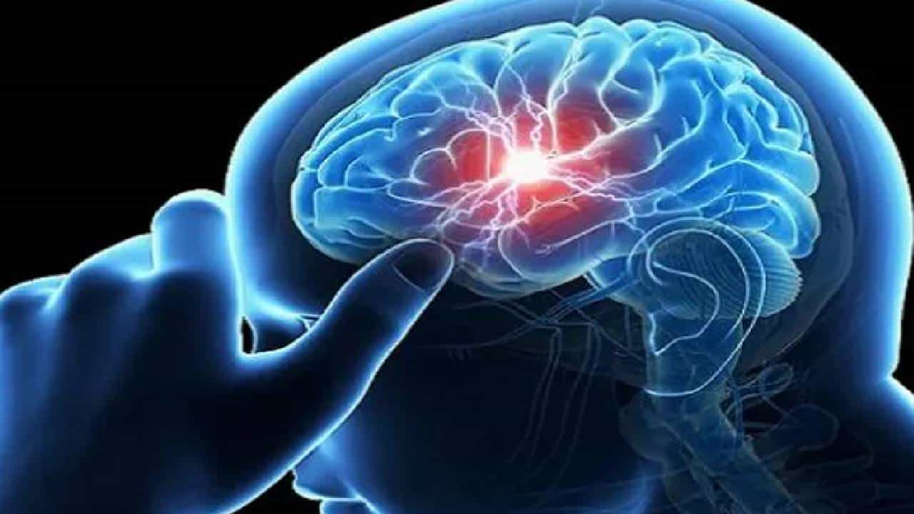 Nervous System: ನರಮಂಡಲದ ಆರೋಗ್ಯ ಕಾಪಾಡಿಕೊಳ್ಳುವುದು ಹೇಗೆ? Nervous System: ನರಮಂಡಲದ ಆರೋಗ್ಯ ಕಾಪಾಡಿಕೊಳ್ಳುವುದು ಹೇಗೆ?