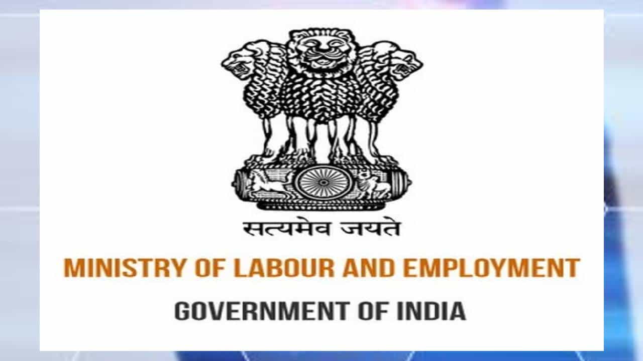 Jobs: ಕಾರ್ಮಿಕ ಮತ್ತು ಉದ್ಯೋಗ ಸಚಿವಾಲಯದಲ್ಲಿನ 130 ಖಾಲಿ ಹುದ್ದೆಗಳ ಭರ್ತಿಗೆ ಅರ್ಜಿ ಆಹ್ವಾನ Jobs: ಕಾರ್ಮಿಕ ಮತ್ತು ಉದ್ಯೋಗ ಸಚಿವಾಲಯದಲ್ಲಿನ 130 ಖಾಲಿ ಹುದ್ದೆಗಳ ಭರ್ತಿಗೆ ಅರ್ಜಿ ಆಹ್ವಾನ