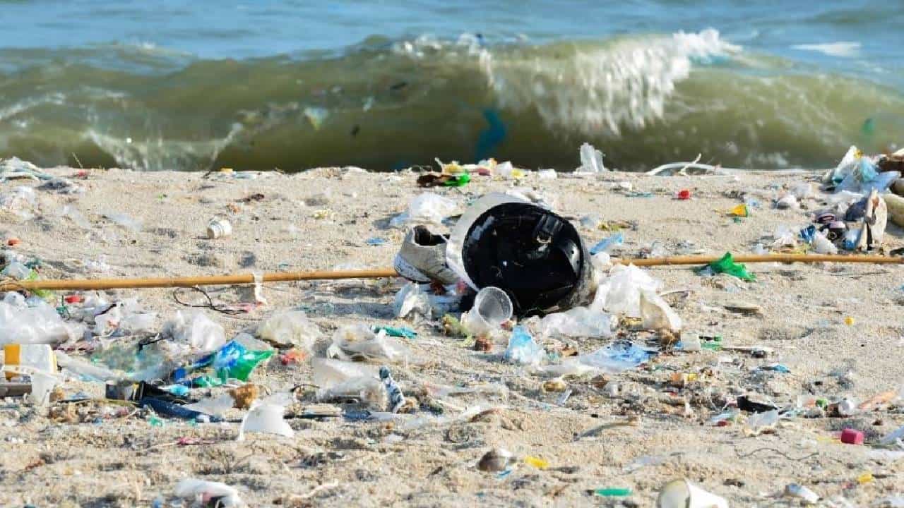 International Coastal Cleanup Day: ದೇಶಾದ್ಯಂತ 75 ದಿನಗಳಲ್ಲಿ 75 ಸಮುದ್ರ ತೀರಗಳ ಸ್ವಚ್ಛತಾ ಅಭಿಯಾನ International Coastal Cleanup Day: ದೇಶಾದ್ಯಂತ 75 ದಿನಗಳಲ್ಲಿ 75 ಸಮುದ್ರ ತೀರಗಳ ಸ್ವಚ್ಛತಾ ಅಭಿಯಾನ