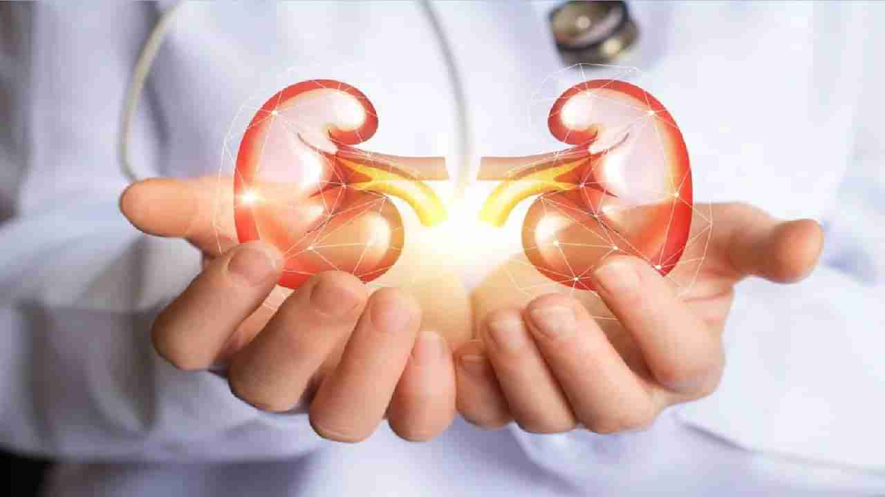 Kidney Health: ಮಳೆಗಾಲದಲ್ಲಿ ಕಿಡ್ನಿ ಆರೈಕೆ ಹೇಗಿರಬೇಕು? ಇಲ್ಲಿವೆ ಟಿಪ್ಸ್