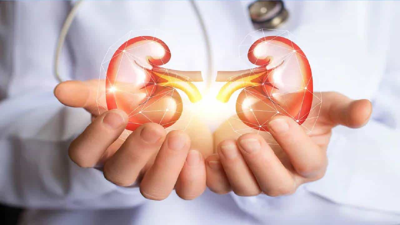 Kidney Health: ಮಳೆಗಾಲದಲ್ಲಿ ಕಿಡ್ನಿ ಆರೈಕೆ ಹೇಗಿರಬೇಕು? ಇಲ್ಲಿವೆ ಟಿಪ್ಸ್ Kidney Health: ಮಳೆಗಾಲದಲ್ಲಿ ಕಿಡ್ನಿ ಆರೈಕೆ ಹೇಗಿರಬೇಕು? ಇಲ್ಲಿವೆ ಟಿಪ್ಸ್