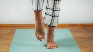 chameleon changes colour: ಮೈಬಣ್ಣ ಬದಲಿಸುವ ಊಸರವಳ್ಳಿಯ ಒಳಗುಟ್ಟು ಏನು ಗೊತ್ತಾ..!