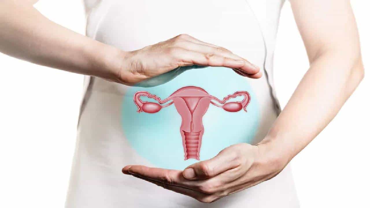 Ovarian Cancer: ಮಹಿಳೆಯರಲ್ಲಿ ಹೆಚ್ಚುತ್ತಿದೆ ಅಂಡಾಶಯ ಕ್ಯಾನ್ಸರ್: ಲಕ್ಷಣ, ಚಿಕಿತ್ಸೆ ಬಗ್ಗೆ ಮಾಹಿತಿ Ovarian Cancer: ಮಹಿಳೆಯರಲ್ಲಿ ಹೆಚ್ಚುತ್ತಿದೆ ಅಂಡಾಶಯ ಕ್ಯಾನ್ಸರ್: ಲಕ್ಷಣ, ಚಿಕಿತ್ಸೆ ಬಗ್ಗೆ ಮಾಹಿತಿ