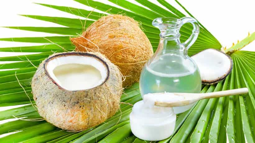 Skin Care: ನಿಮ್ಮ ಒಣ ತ್ವಚೆಯನ್ನು ಕೋಮಲವಾಗಿಸಲು ಈ ಆಯಿಲ್ಗಳನ್ನು ಬಳಕೆ ಮಾಡಿ