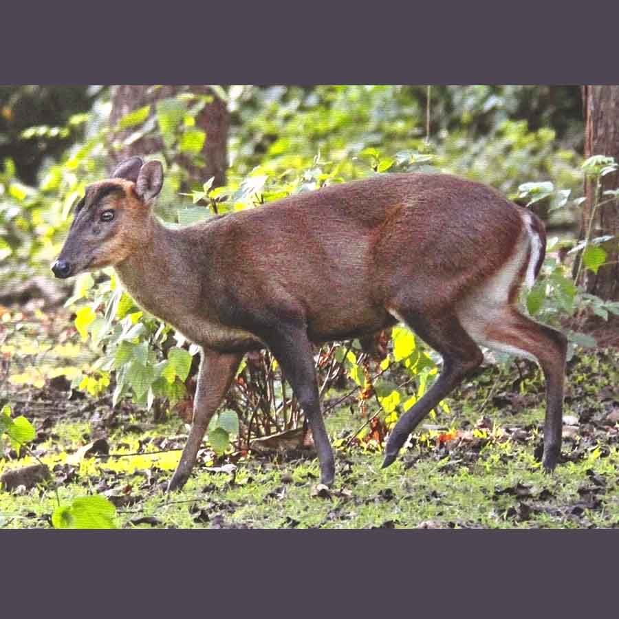 14 ವರ್ಷ ಬಾಲಕನ ಅದ್ಭುತ ವೈಲ್ಡ್ ಲೈಫ್ ಫೋಟೋಗ್ರಫಿ: ಫೋಟೋಗಳು ಇಲ್ಲಿವೆ