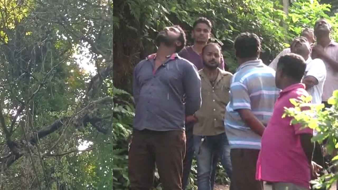 ಒಂದೇ ಸ್ಥಳದಲ್ಲಿ ನಿರಂತರ ಮಳೆ; ಕೊಡಗಿನಲ್ಲಿ ನಡೆದ ಪ್ರಕೃತಿ ವೈಚಿತ್ರ ನೋಡಲು ಮುಗಿಬಿದ್ದ ಜನ