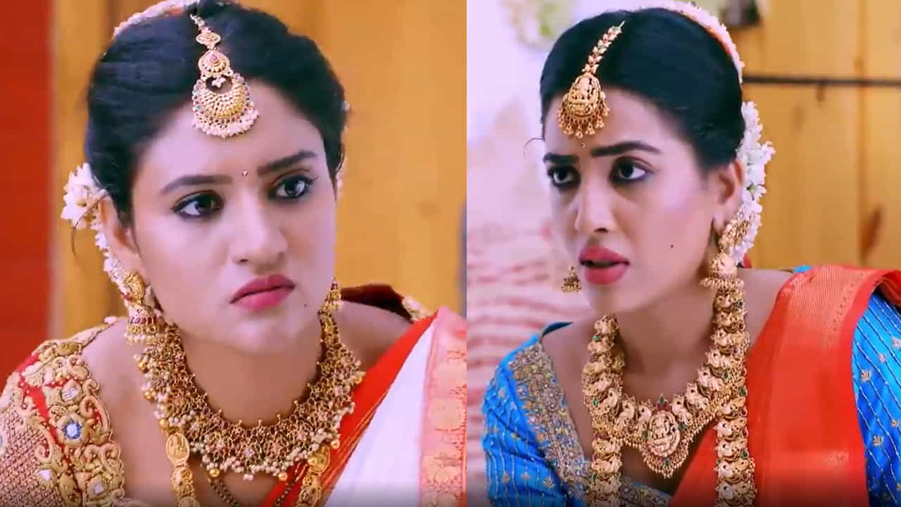 ಹರ್ಷನಿಗಾಗಿ ಕೈ ಕತ್ತರಿಸಿಕೊಂಡ ವರುಧಿನಿ; ಮಂಟಪ ಬಿಟ್ಟು ಆಸ್ಪತ್ರೆಗೆ ಹೋದ ಭುವಿ ಹರ್ಷನಿಗಾಗಿ ಕೈ ಕತ್ತರಿಸಿಕೊಂಡ ವರುಧಿನಿ; ಮಂಟಪ ಬಿಟ್ಟು ಆಸ್ಪತ್ರೆಗೆ ಹೋದ ಭುವಿ