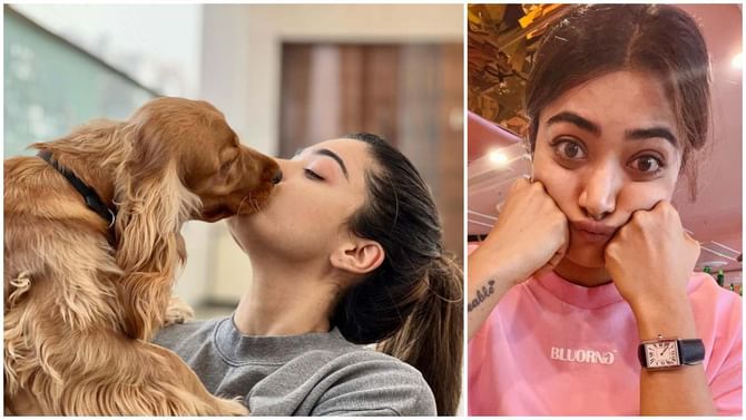 Rashmika Mandanna: ರಶ್ಮಿಕಾ ಮಾತ್ರವಲ್ಲ, ಅವರ ನಾಯಿ ಬಗ್ಗೆಯೂ ಗಾಸಿಪ್; ಬಹಿರಂಗವಾಗಿಯೇ ಸ್ಪಷ್ಟನೆ ನೀಡಿದ ನಟಿ Rashmika Mandanna: ರಶ್ಮಿಕಾ ಮಾತ್ರವಲ್ಲ, ಅವರ ನಾಯಿ ಬಗ್ಗೆಯೂ ಗಾಸಿಪ್; ಬಹಿರಂಗವಾಗಿಯೇ ಸ್ಪಷ್ಟನೆ ನೀಡಿದ ನಟಿ