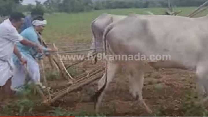 ಮಯಾಕೊಂಡ ವಿಧಾನ ಸಭಾ ಕ್ಷೇತ್ರದ ಕಾಂಗ್ರೆಸ್ ಟಿಕೆಟ್ ಆಕಾಂಕ್ಷಿ ಸವಿತಾ ಮಲ್ಲೇಶ್ ಜಮೀನಲ್ಲಿ ಎಡೆಕುಂಟೆ ಹೊಡೆದರು! ಮಯಾಕೊಂಡ ವಿಧಾನ ಸಭಾ ಕ್ಷೇತ್ರದ ಕಾಂಗ್ರೆಸ್ ಟಿಕೆಟ್ ಆಕಾಂಕ್ಷಿ ಸವಿತಾ ಮಲ್ಲೇಶ್ ಜಮೀನಲ್ಲಿ ಎಡೆಕುಂಟೆ ಹೊಡೆದರು!