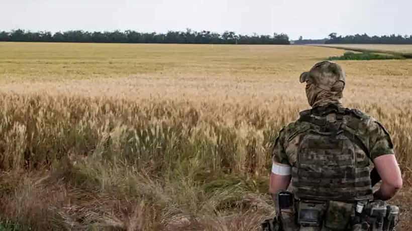 Russia Ukraine War: ಉಕ್ರೇನ್ ರೈತರ ಮನೆಗಳಲ್ಲಿ ಗೋಧಿ ಲೂಟಿ, ಕೃಷಿಗೆ ರೈತರ ನಿರಾಸಕ್ತಿ, ಹಸಿವಿನ ಭೀತಿಯಲ್ಲಿ ಜಗತ್ತು