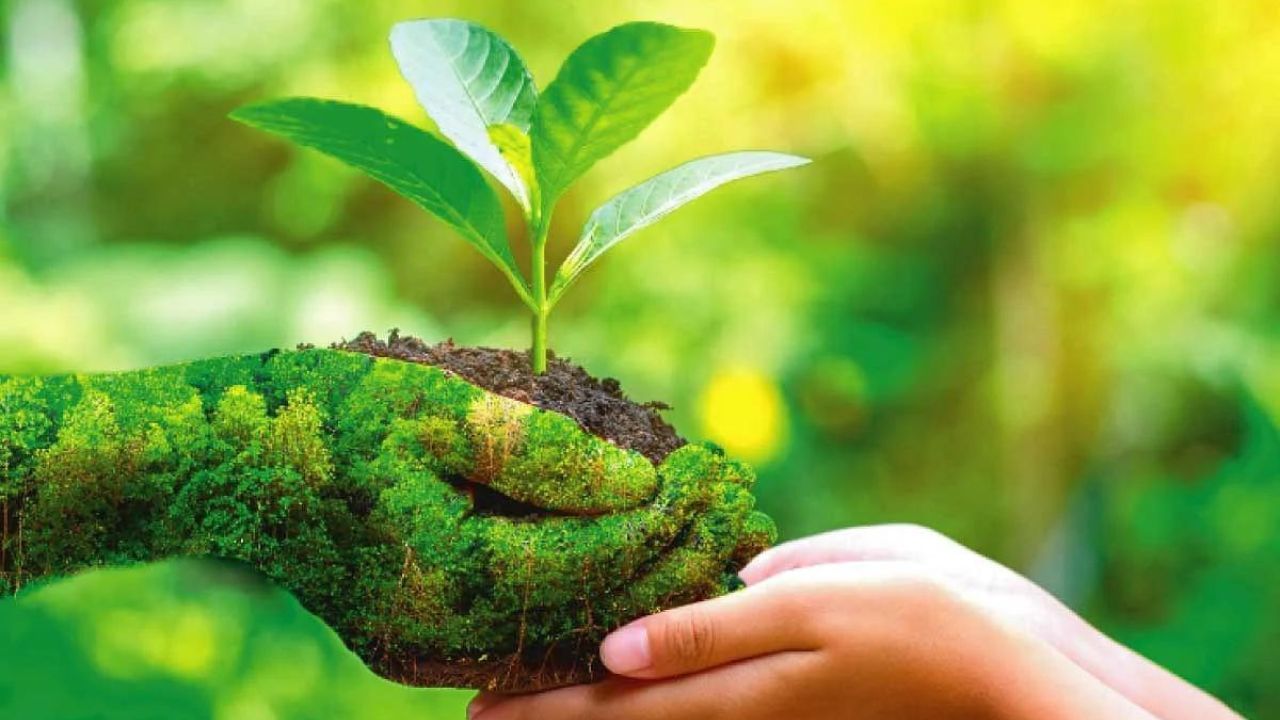 World Environment Day 2022 : ಅಂದು ಪರಿಸರ ಬೆಳಸಿ, ಇಂದು ಪರಿಸರ ಉಳಿಸಿ, ಪರಿಸರ ರಕ್ಷಣೆ ನಮ್ಮ ಕೈಯಲ್ಲಿ