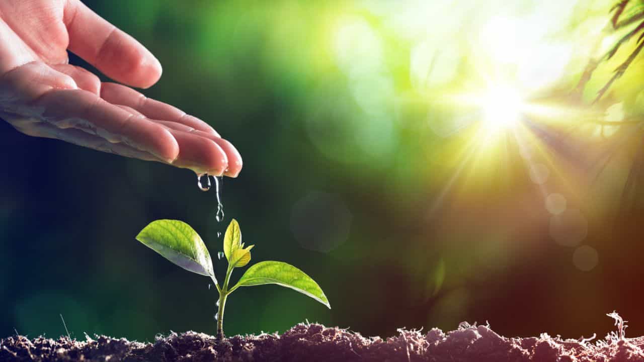 World Environment Day 2022 : ಪ್ರಕೃತಿ ಮತ್ತು ಮನುಷ್ಯನ ನಡುವೆ ಅವಿನಾಭಾವ ಸಂಬಂಧವಿದೆ World Environment Day 2022 : ಪ್ರಕೃತಿ ಮತ್ತು ಮನುಷ್ಯನ ನಡುವೆ ಅವಿನಾಭಾವ ಸಂಬಂಧವಿದೆ