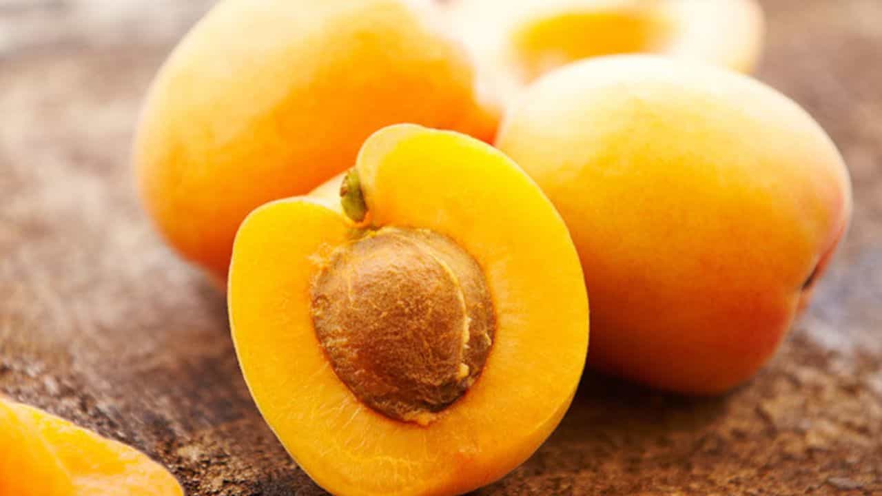 Health Benefits : ಏಪ್ರಿಕಾಟ್ ಹಣ್ಣಿನಿಂದ ಕಣ್ಣಿನ ಆರೋಗ್ಯ ವೃದ್ಧಿ Health Benefits : ಏಪ್ರಿಕಾಟ್ ಹಣ್ಣಿನಿಂದ ಕಣ್ಣಿನ ಆರೋಗ್ಯ ವೃದ್ಧಿ