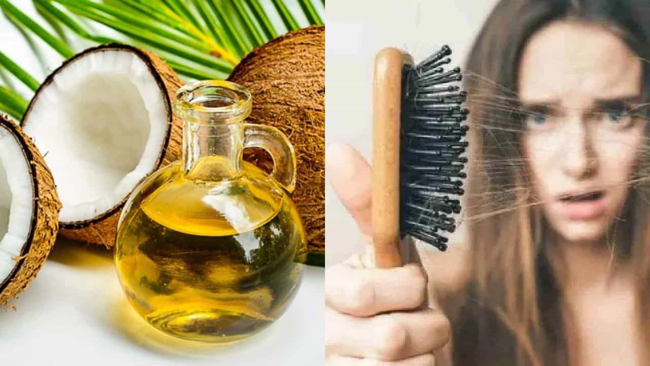 Hairfall: ನಿಮ್ಮ ಕೂದಲಿನ ರಕ್ಷಣೆಗೆ ಈ ಎಣ್ಣೆಗಳನ್ನು ಬಳಸಿ Hairfall: ನಿಮ್ಮ ಕೂದಲಿನ ರಕ್ಷಣೆಗೆ ಈ ಎಣ್ಣೆಗಳನ್ನು ಬಳಸಿ
