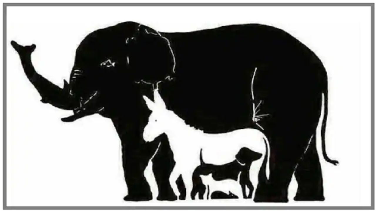 Optical Illusion: ಈ ಆನೆಯ ಚಿತ್ರದಲ್ಲಿ ಎಷ್ಟು ಪ್ರಾಣಿಗಳು ಇವೆ? ಗುರುತಿಸಿ Optical Illusion: ಈ ಆನೆಯ ಚಿತ್ರದಲ್ಲಿ ಎಷ್ಟು ಪ್ರಾಣಿಗಳು ಇವೆ? ಗುರುತಿಸಿ