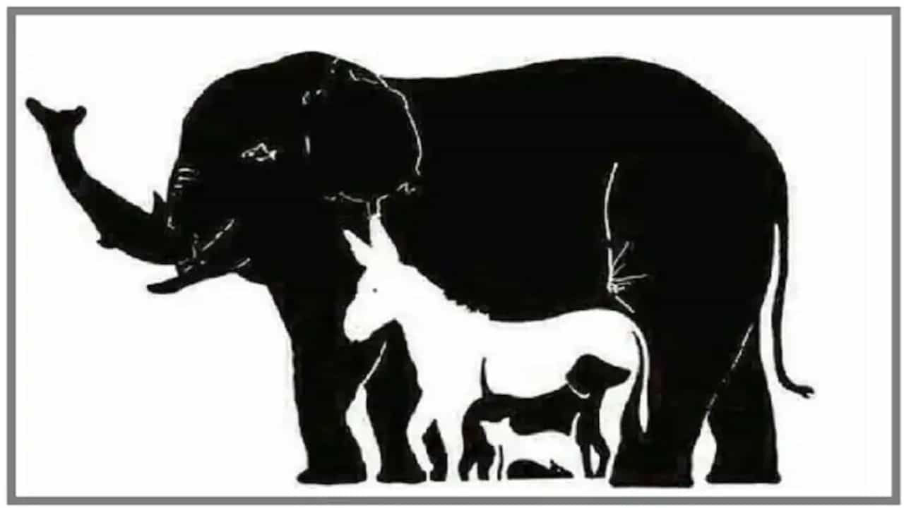Optical Illusion: ಈ ಆನೆಯ ಚಿತ್ರದಲ್ಲಿ ಎಷ್ಟು ಪ್ರಾಣಿಗಳು ಇವೆ? ಗುರುತಿಸಿ Optical Illusion: ಈ ಆನೆಯ ಚಿತ್ರದಲ್ಲಿ ಎಷ್ಟು ಪ್ರಾಣಿಗಳು ಇವೆ? ಗುರುತಿಸಿ