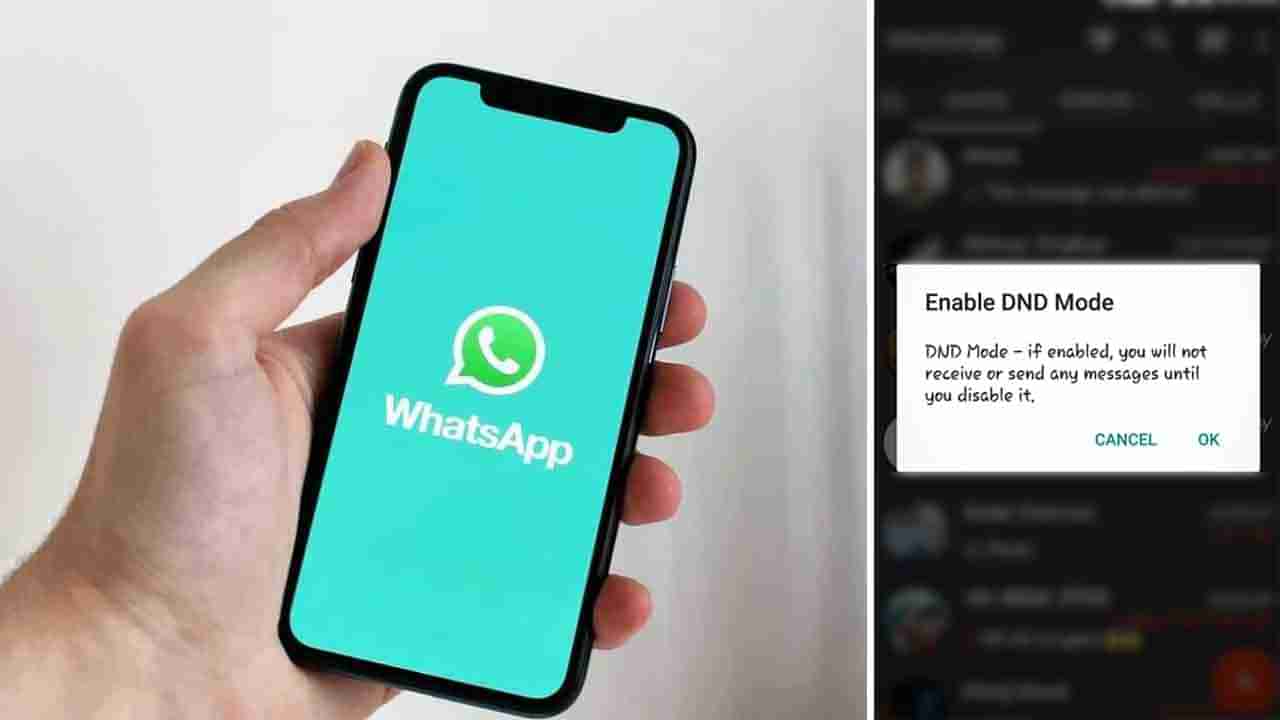 WhatsApp: ಡು ನಾಟ್‌ ಡಿಸ್ಟರ್ಬ್‌ ಆಯ್ಕೆ ಕಂಡು ಶಾಕ್ ಆದ ಬಳಕೆದಾರ: ಏನಿದೆ ಇದರಲ್ಲಿ?