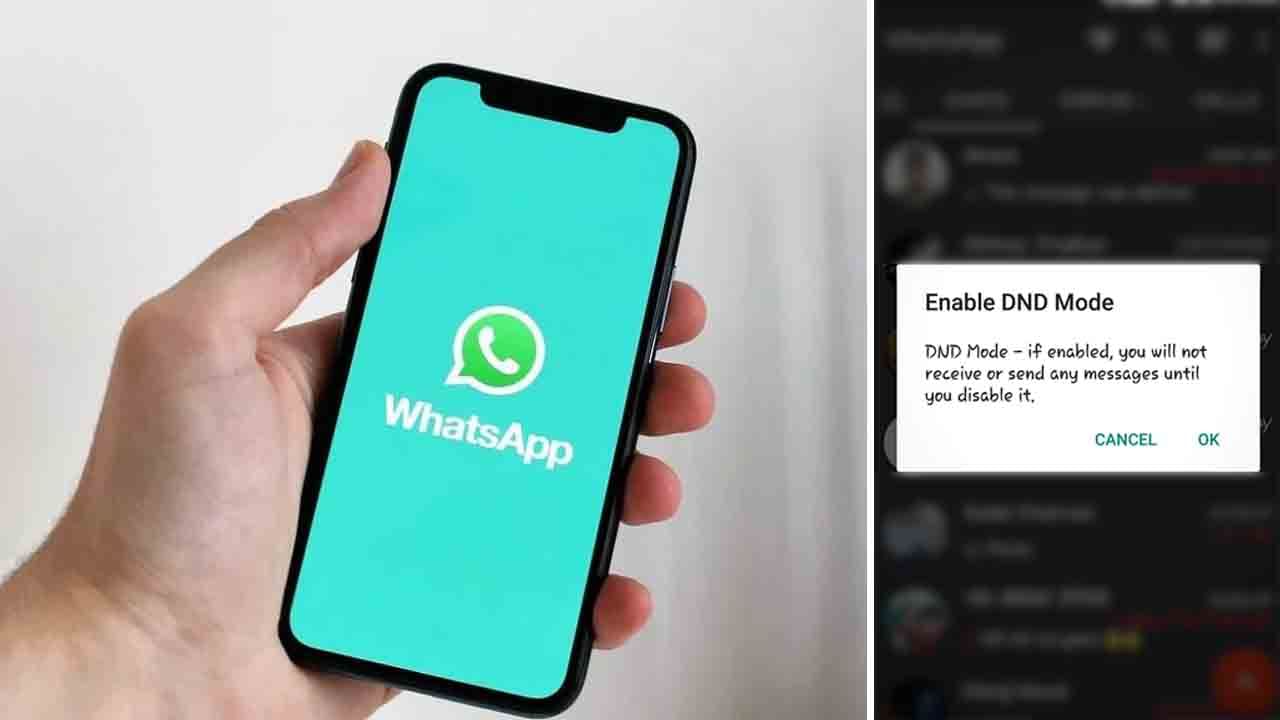 WhatsApp: ಡು ನಾಟ್‌ ಡಿಸ್ಟರ್ಬ್‌ ಆಯ್ಕೆ ಕಂಡು ಶಾಕ್ ಆದ ಬಳಕೆದಾರ: ಏನಿದೆ ಇದರಲ್ಲಿ?