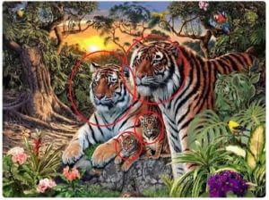 16 Tigers In This Image