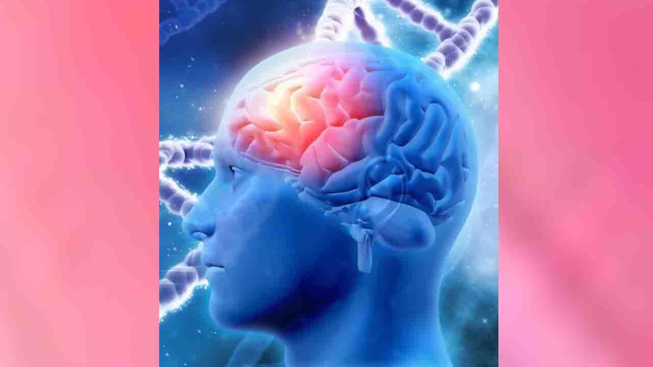 Alzheimer’s Disease: ಅಮೆರಿಕದಲ್ಲಿ 65ರ ಆಸುಪಾಸಿನ 6 ಮಿಲಿಯನ್ ಜನ ಈ ಕಾಯಿಲೆಗೆ ತುತ್ತಾಗಿದ್ದಾರೆ Alzheimer’s Disease: ಅಮೆರಿಕದಲ್ಲಿ 65ರ ಆಸುಪಾಸಿನ 6 ಮಿಲಿಯನ್ ಜನ ಈ ಕಾಯಿಲೆಗೆ ತುತ್ತಾಗಿದ್ದಾರೆ
