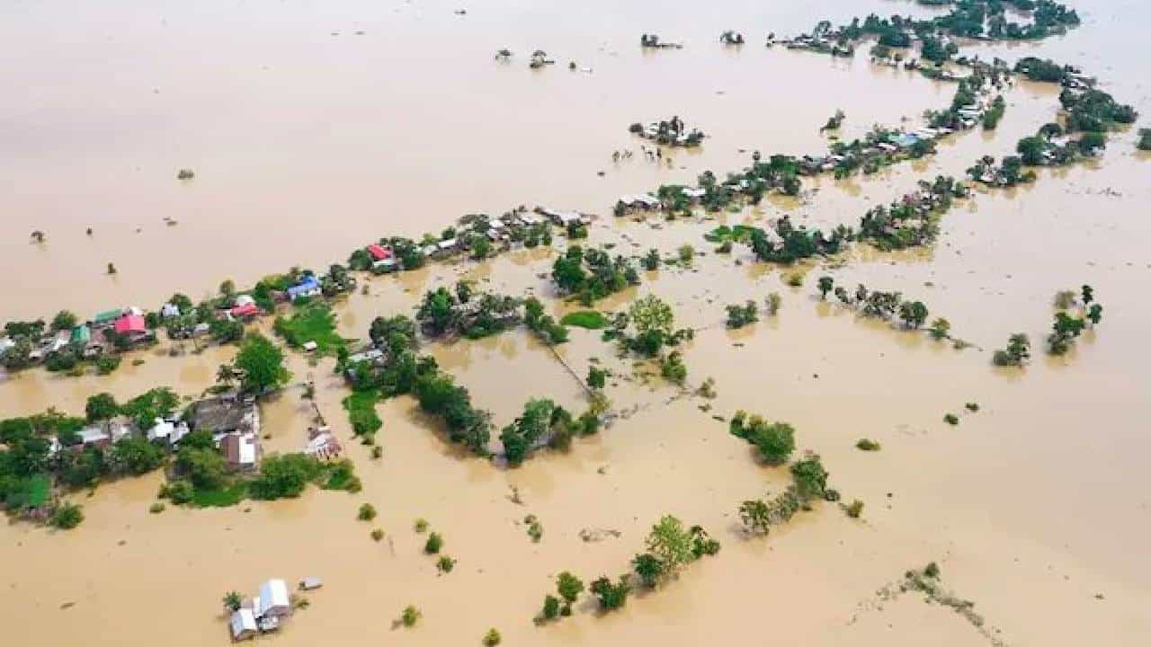 Assam Flood: ಭೀಕರ ಪ್ರವಾಹದಿಂದ ದ್ವೀಪವಾಗಿದೆ ಅಸ್ಸಾಂ; ಮಳೆಯ ಹೊಡೆತಕ್ಕೆ 81 ಜನ ಸಾವು Assam Flood: ಭೀಕರ ಪ್ರವಾಹದಿಂದ ದ್ವೀಪವಾಗಿದೆ ಅಸ್ಸಾಂ; ಮಳೆಯ ಹೊಡೆತಕ್ಕೆ 81 ಜನ ಸಾವು