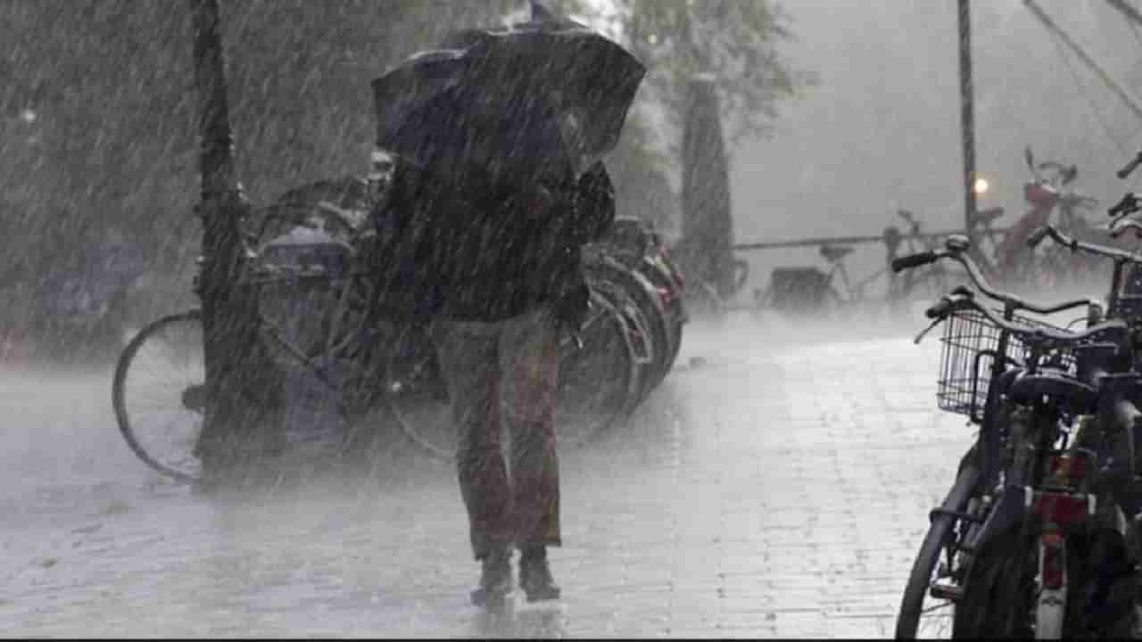 Karnataka Rain: ರಾಜ್ಯದಲ್ಲಿ ಮುಂದುವರೆಯಲಿದೆ  ಮಳೆ ಆರ್ಭಟ; ವಿವಿಧ ಜಿಲ್ಲೆಗಳಿಗೆ ಅಲರ್ಟ್​​ ಘೋಷಣೆ