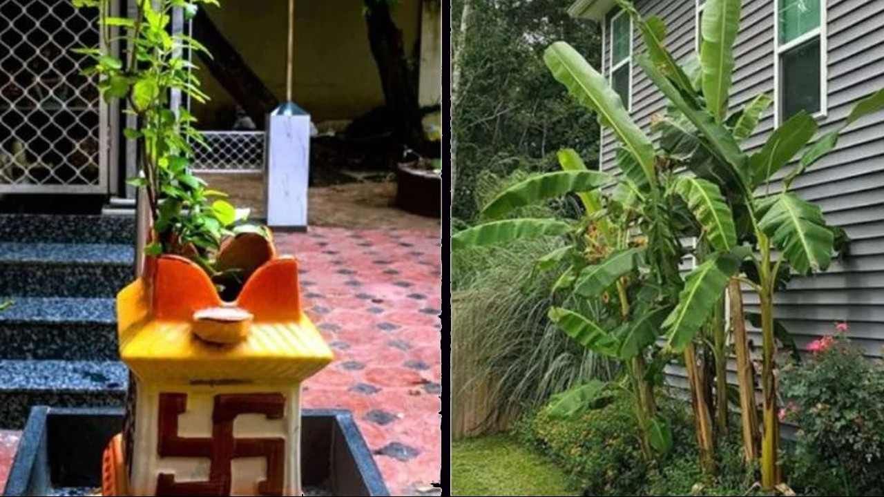Banana plant: ಮನೆಯಲ್ಲಿ ಬಾಳೆ ಗಿಡ ಬೆಳೆಸಲು ಆಲೋಚಿಸುತ್ತಿದ್ದೀರಾ? ಮೊದಲು ಈ ವಾಸ್ತು ನಿಯಮಗಳನ್ನು ಪಾಲಿಸಿ Banana plant: ಮನೆಯಲ್ಲಿ ಬಾಳೆ ಗಿಡ ಬೆಳೆಸಲು ಆಲೋಚಿಸುತ್ತಿದ್ದೀರಾ? ಮೊದಲು ಈ ವಾಸ್ತು ನಿಯಮಗಳನ್ನು ಪಾಲಿಸಿ