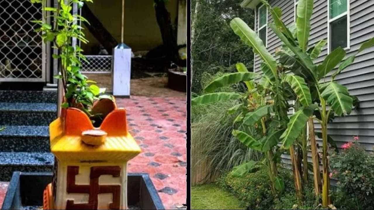 Banana plant: ಮನೆಯಲ್ಲಿ ಬಾಳೆ ಗಿಡ ಬೆಳೆಸಲು ಆಲೋಚಿಸುತ್ತಿದ್ದೀರಾ? ಮೊದಲು ಈ ವಾಸ್ತು ನಿಯಮಗಳನ್ನು ಪಾಲಿಸಿ Banana plant: ಮನೆಯಲ್ಲಿ ಬಾಳೆ ಗಿಡ ಬೆಳೆಸಲು ಆಲೋಚಿಸುತ್ತಿದ್ದೀರಾ? ಮೊದಲು ಈ ವಾಸ್ತು ನಿಯಮಗಳನ್ನು ಪಾಲಿಸಿ