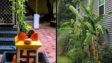 Banana plant: ಮನೆಯಲ್ಲಿ ಬಾಳೆ ಗಿಡ ಬೆಳೆಸಲು ಆಲೋಚಿಸುತ್ತಿದ್ದೀರಾ? ಮೊದಲು ಈ ವಾಸ್ತು ನಿಯಮಗಳನ್ನು ಪಾಲಿಸಿ