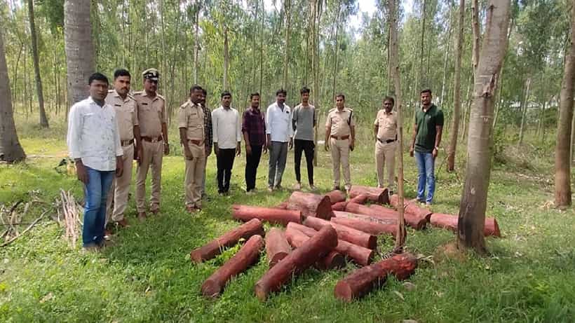 ಪುಷ್ಪಾ ಸಿನಿಮಾ ಸ್ಟೈಲ್ನಲ್ಲಿ ರಕ್ತ ಚಂದನ ಸ್ಮಗ್ಲಿಂಗ್: ಕೋಟ್ಯಾಂತರ ರೂ. ಮೌಲ್ಯದ ರಕ್ತ ಚಂದನ ವಶ