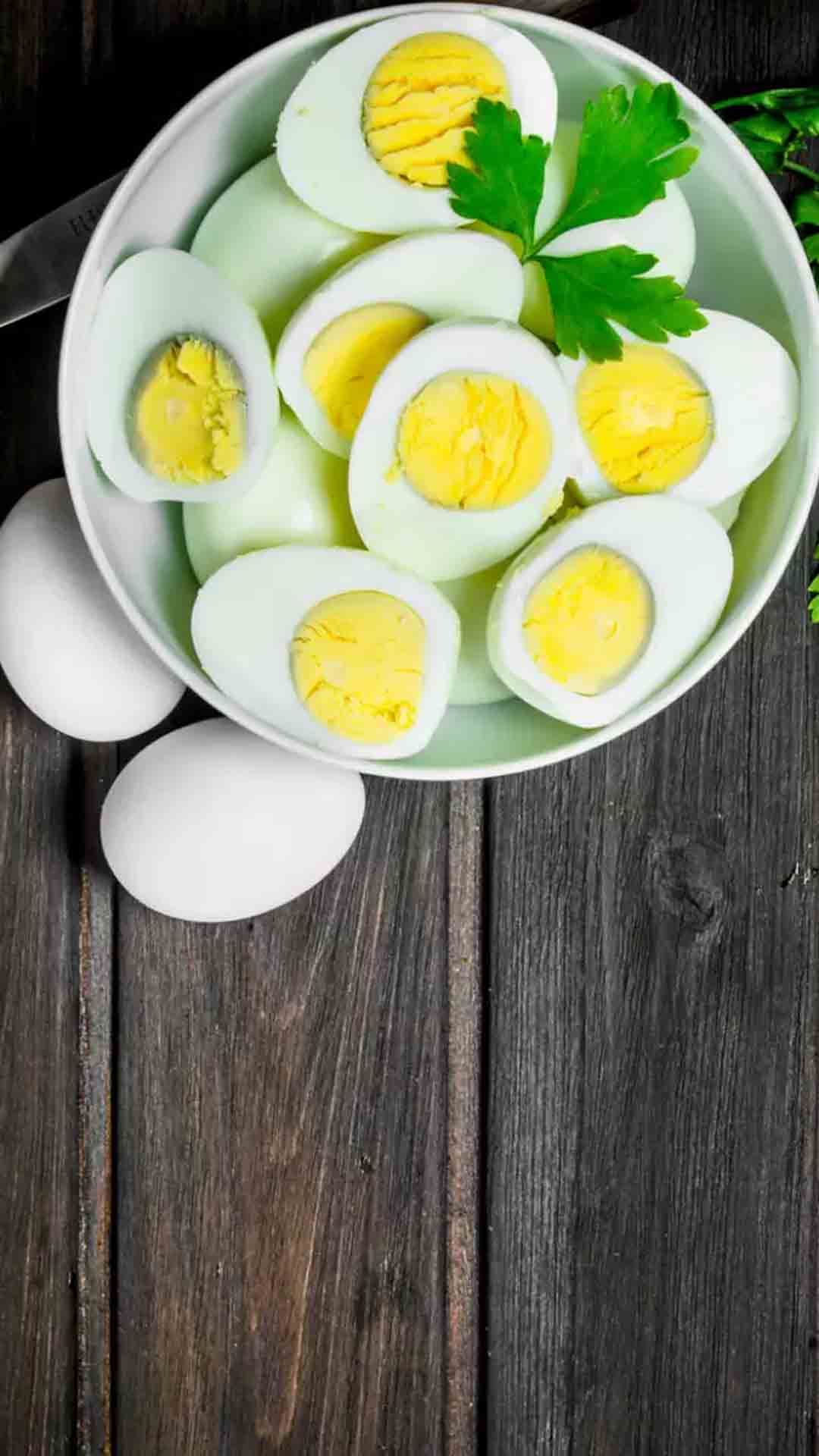 egg
