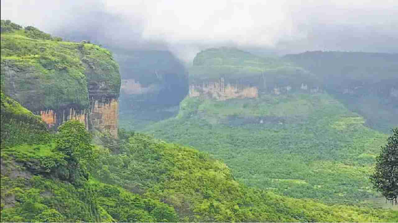 ಅವೈಜ್ಞಾನಿಕ, ಪಕ್ಷಪಾತದ ವರದಿ; ಪರಿಸರ ಕಾರ್ಯಕ್ಷಮತೆ ಸೂಚ್ಯಂಕವನ್ನು ತಿರಸ್ಕರಿಸಿದ ಭಾರತ