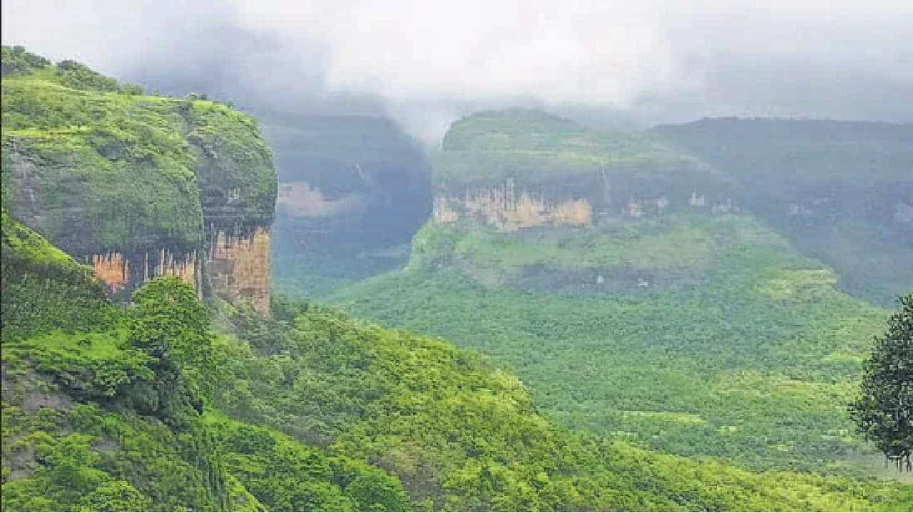 ಅವೈಜ್ಞಾನಿಕ, ಪಕ್ಷಪಾತದ ವರದಿ; ಪರಿಸರ ಕಾರ್ಯಕ್ಷಮತೆ ಸೂಚ್ಯಂಕವನ್ನು ತಿರಸ್ಕರಿಸಿದ ಭಾರತ ಅವೈಜ್ಞಾನಿಕ, ಪಕ್ಷಪಾತದ ವರದಿ; ಪರಿಸರ ಕಾರ್ಯಕ್ಷಮತೆ ಸೂಚ್ಯಂಕವನ್ನು ತಿರಸ್ಕರಿಸಿದ ಭಾರತ