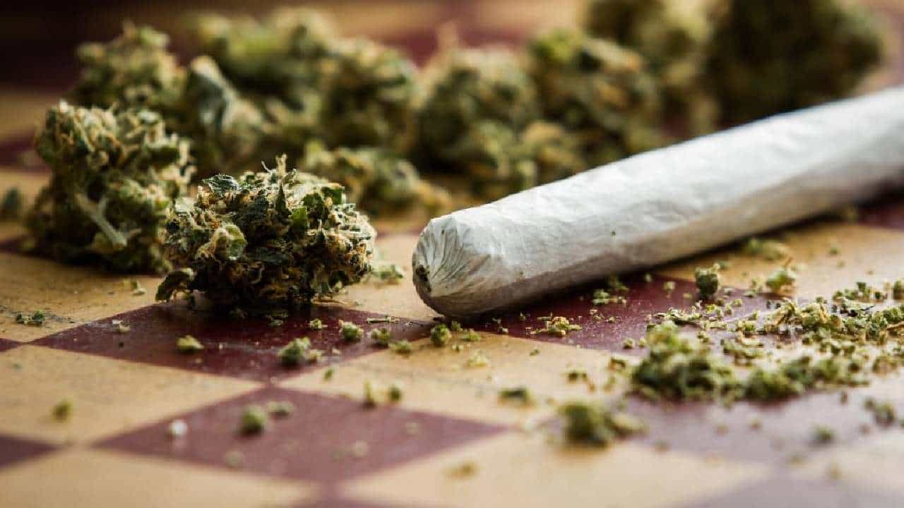 Marijuana: ಗಾಂಜಾ ಬೆಳೆಯುವುದನ್ನು ಕಾನೂನುಬದ್ಧಗೊಳಿಸಿದ ಏಷ್ಯಾದ ಮೊದಲ ದೇಶ ಥೈಲ್ಯಾಂಡ್ Marijuana: ಗಾಂಜಾ ಬೆಳೆಯುವುದನ್ನು ಕಾನೂನುಬದ್ಧಗೊಳಿಸಿದ ಏಷ್ಯಾದ ಮೊದಲ ದೇಶ ಥೈಲ್ಯಾಂಡ್