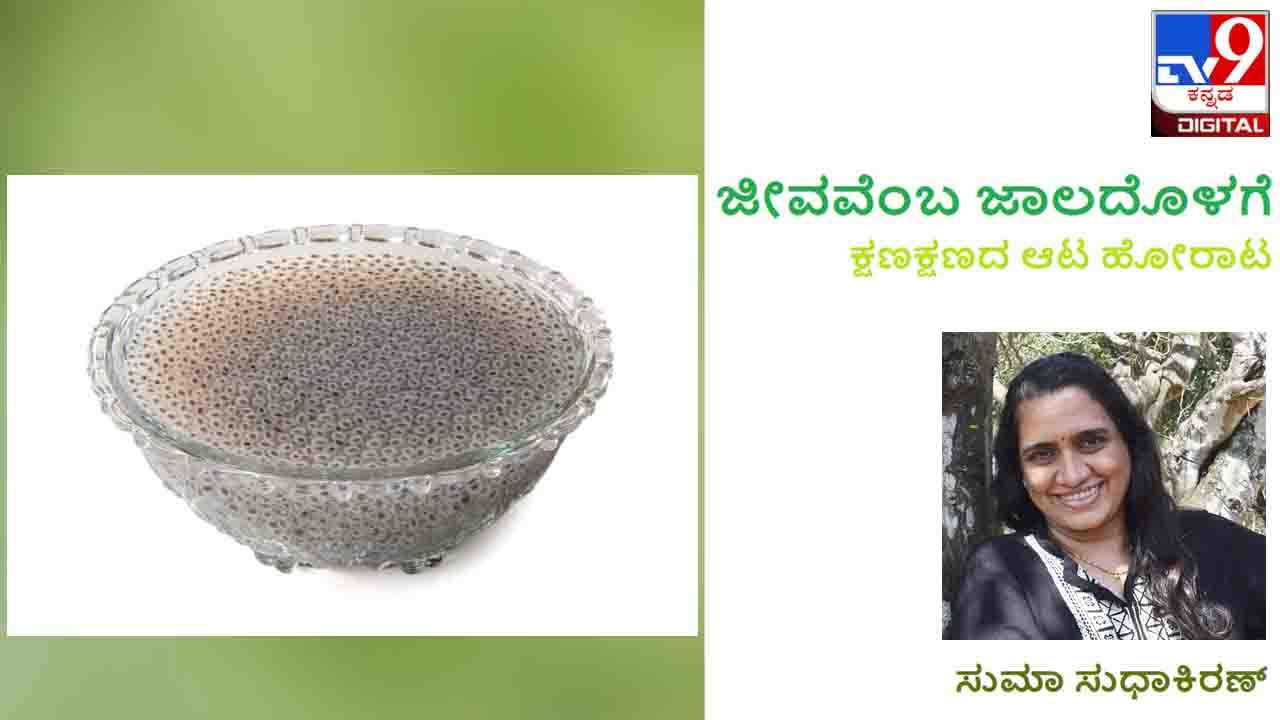 Science: ಜೀವವೆಂಬ ಜಾಲದೊಳಗೆ : ಏನಿದು ಮ್ಯೂಸಿಲೇಜ್ನ ಮ್ಯಾಜಿಕ್? Science: ಜೀವವೆಂಬ ಜಾಲದೊಳಗೆ : ಏನಿದು ಮ್ಯೂಸಿಲೇಜ್ನ ಮ್ಯಾಜಿಕ್?