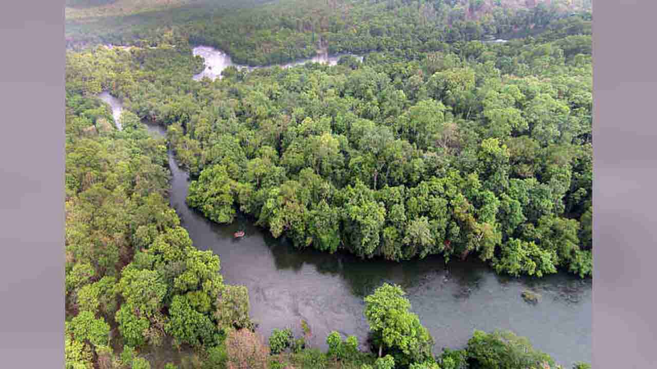 International Day of the Tropics 2022: ಅಂತಾರಾಷ್ಟ್ರೀಯ ಉಷ್ಣವಲಯ ಪ್ರದೇಶಗಳ ದಿನ ಮಹತ್ವ, ಆಚರಣೆ