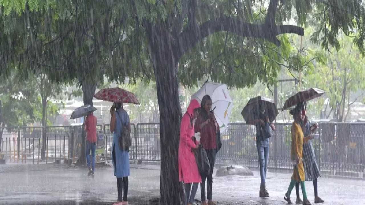 ಕರಾವಳಿಯಲ್ಲಿ ಧಾರಾಕಾರ ಮಳೆ: ಕಾಸರಗೋಡಿನಲ್ಲಿ ರಸ್ತೆ ಮುಳುಗುಡೆ, ಉಡುಪಿ ಜಿಲ್ಲೆಯಲ್ಲಿ ಕಡಲಕೊರೆತ, ಉತ್ತರ ಕನ್ನಡದಲ್ಲಿ ಗುಡ್ಡ ಕುಸಿದ ಭೀತಿ ಕರಾವಳಿಯಲ್ಲಿ ಧಾರಾಕಾರ ಮಳೆ: ಕಾಸರಗೋಡಿನಲ್ಲಿ ರಸ್ತೆ ಮುಳುಗುಡೆ, ಉಡುಪಿ ಜಿಲ್ಲೆಯಲ್ಲಿ ಕಡಲಕೊರೆತ, ಉತ್ತರ ಕನ್ನಡದಲ್ಲಿ ಗುಡ್ಡ ಕುಸಿದ ಭೀತಿ