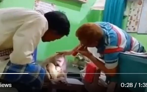 Viral Video : ಕ್ಲಿನಿಕ್ ಹೊಕ್ಕ ತಾಯಿಕೋತಿ, ಚಿಕಿತ್ಸೆ ನೀಡಿದ ಡಾ. ಅಹಮ್ಮದ್